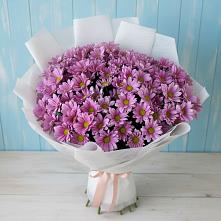 Букет цветов из:  Хризантемы #REPLACE_PRED# Рождествено