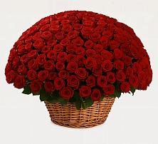 Премиум букет из: Розы #REPLACE_PRED# Рождествено